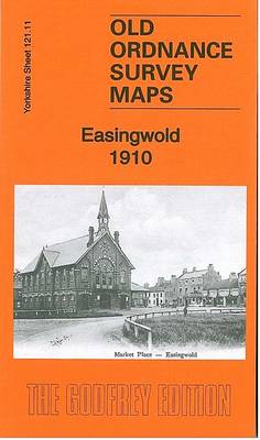 Easingwold 1910: Yorkshire Sheet 121.11 - Old Ordnance Survey Maps of Yorkshire (Sheet map, folded)