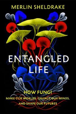 Entangled Life: How Fungi Make Our Worlds, Change Our Minds and Shape Our Futures (Hardback)