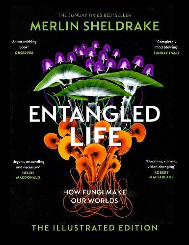 Entangled Life (The Illustrated Edition): How Fungi Make Our Worlds - The Illustrated Edition (Hardback)