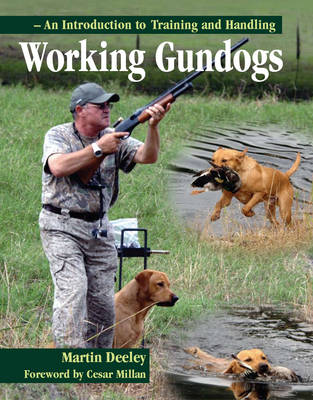 Gun dog hotsell training books