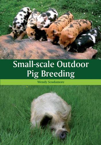Small-scale Outdoor Pig Breeding (Paperback)