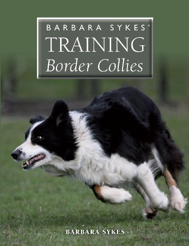 Border collie hot sale trainers