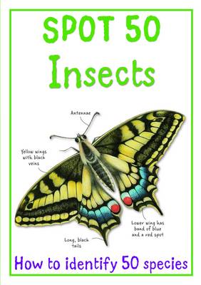 Spot 50 - Insects (Paperback)