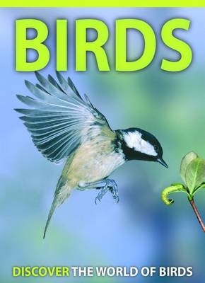 Birds (Paperback)