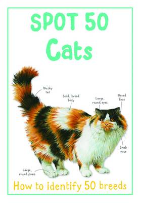 Spot 50 Cats - Spot 50's (Paperback)