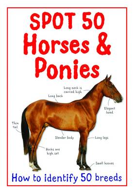 Spot 50 Horses and Ponies - Spot 50's (Paperback)
