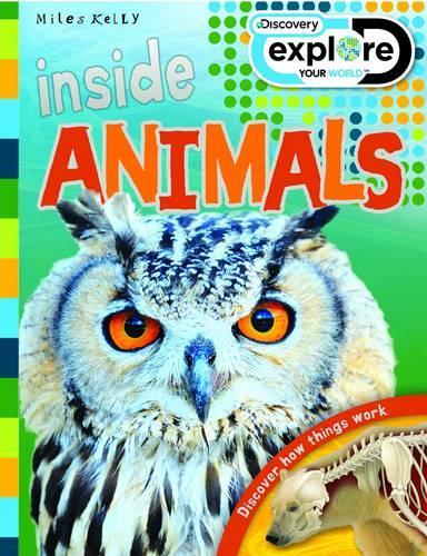 Inside Animals - Discovery Explore Your World (Paperback)