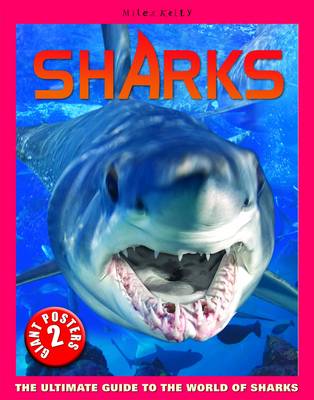 Sharks Poster Book - Poster Books (Spiral bound)