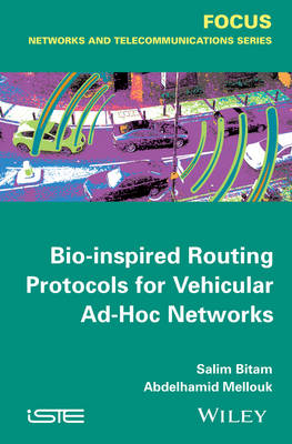 Bio-inspired Routing Protocols for Vehicular Ad-Hoc Networks (Hardback)