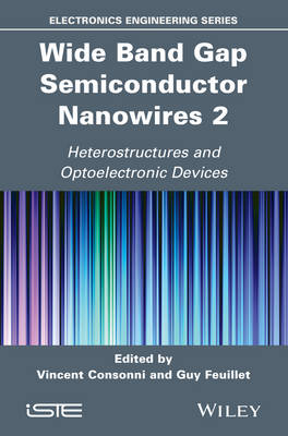 Wide Band Gap Semiconductor Nanowires 2: Heterostructures and Optoelectronic Devices (Hardback)
