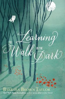 Book cover of Learning to Walk in the Dark