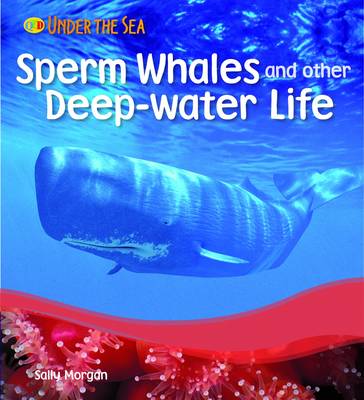 Sperm Whales and Other Deep Water Life - Under the Sea (Paperback)