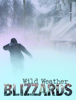 Blizzards - Wild Weather (Paperback)