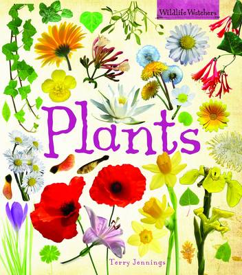 Plants - Wildlife Watchers (Hardback)