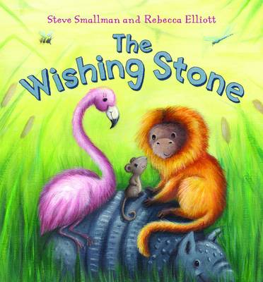 The Wishing Stone - Storytime (Hardback)