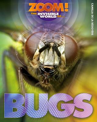 Zoom! The Invisible World of Bugs - Zoom! The Invisible World of... (Hardback)