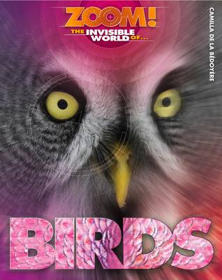 Zoom! The Invisible World of Birds - Zoom! The Invisible World of... (Hardback)