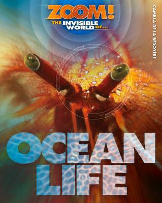 Zoom! The Invisible World of Ocean Life - Zoom! The Invisible World of... (Hardback)