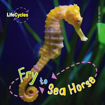 Life Cycles Fry To Seahorse By Camilla De La Bedoyere Waterstones