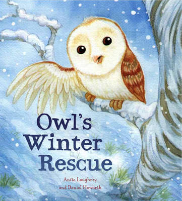 Animal Seasons: Owl's Winter Rescue - Animal Seasons (Hardback)