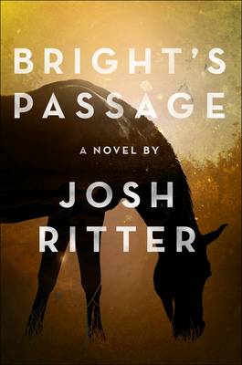Bright's Passage (Hardback)