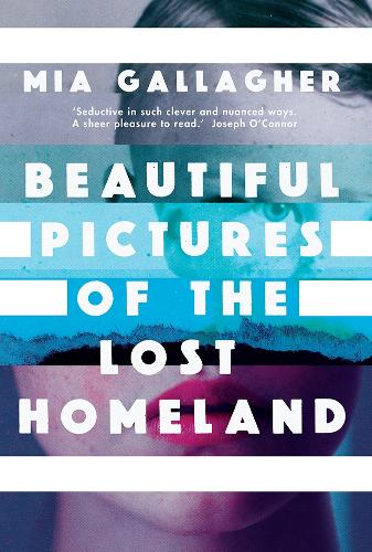 Beautiful Pictures of the Lost Homeland (Paperback)