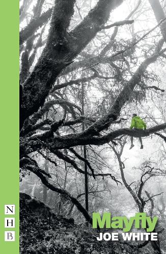 Mayfly - NHB Modern Plays (Paperback)