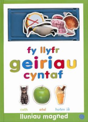 Fy Llyfr Geiriau Cyntaf - Lluniau Magned (Hardback)