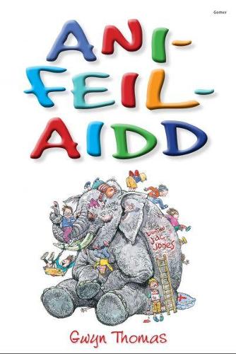 Ani-Feil-Aidd (Paperback)