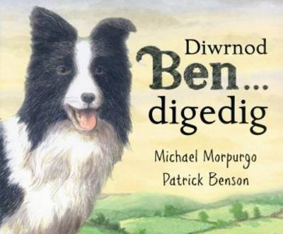 Diwrnod Ben digedig (Paperback)