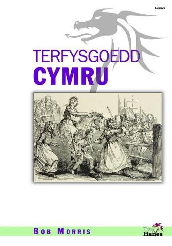 Tipyn O'n Hanes: Terfysgoedd Cymru (Paperback)