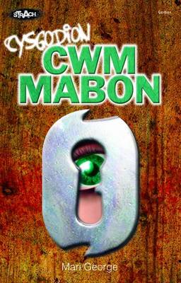 Cyfres Strach: Cysgodion Cwm Mabon (Paperback)