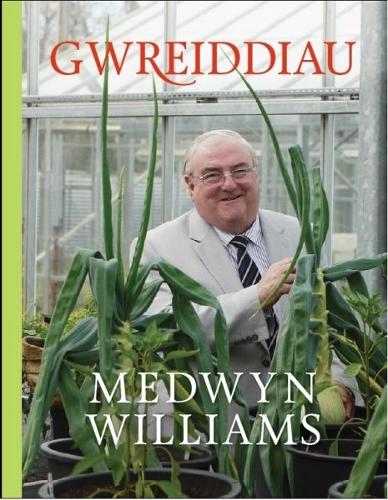 Gwreiddiau (Hardback)