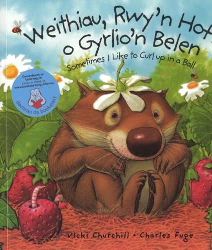 Weithiau, Rwy'n Hoff o Gyrlio'n Belen/Sometimes I like to Curl up in a Ball (Paperback)