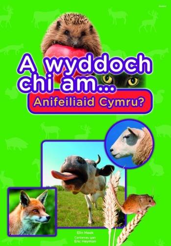 Cyfres a Wyddoch Chi: A Wyddoch Chi am Anifeiliaid Cymru? (Paperback)