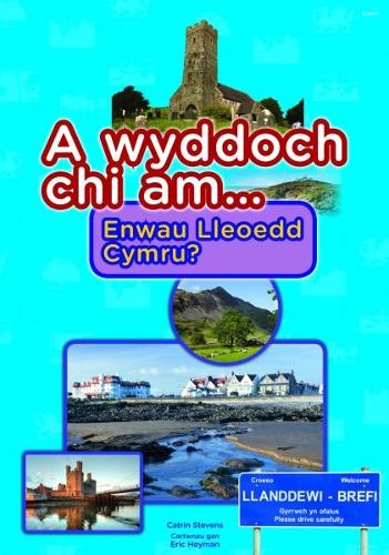 Cyfres a Wyddoch Chi: A Wyddoch Chi am Enwau Lleoedd Cymru? (Paperback)