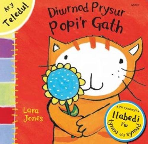 Diwrnod Prysur Popi'r Gath (Hardback)