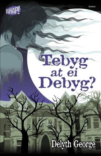 Cyfres Whap!: Tebyg at ei Debyg? (Paperback)