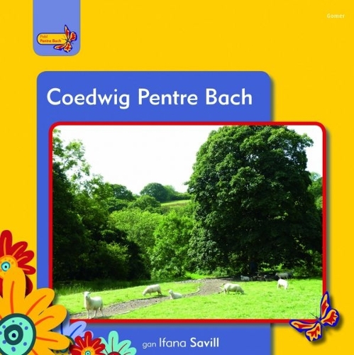 Pobl Pentre Bach: Coedwig Pentre Bach (Paperback)