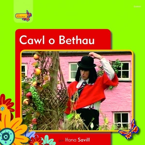 Pobl Pentre Bach: Cawl o Bethau (Paperback)