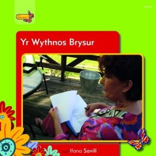 Pobl Pentre Bach: Yr Wythnos Brysur (Paperback)