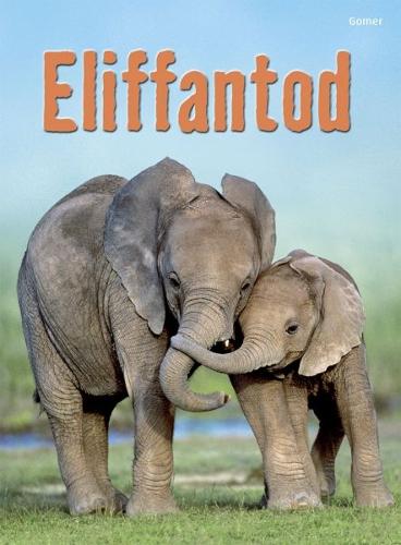 Cyfres Dechrau Da: Eliffantod (Hardback)