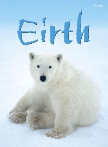 Cyfres Dechrau Da: Eirth (Hardback)