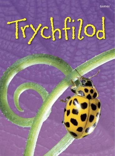 Cyfres Dechrau Da: Trychfilod (Hardback)