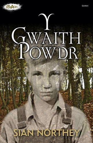 Cyfres Strach: Y Gwaith Powdr (Paperback)