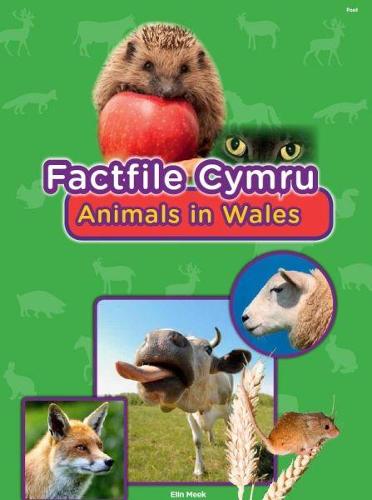 Factfile Cymru: Animals in Wales (Paperback)