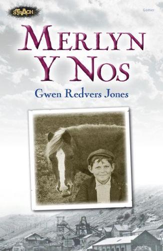Cyfres Strach: Merlyn y Nos (Paperback)