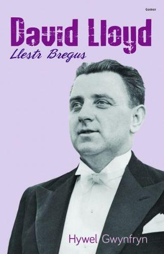 David Lloyd - Llestr Bregus (Paperback)
