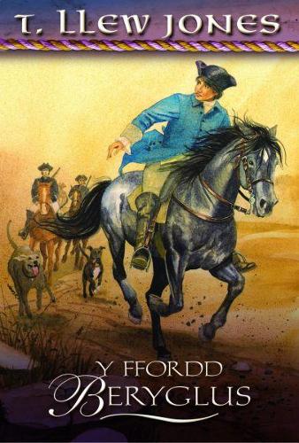 Ffordd Beryglus, Y (Paperback)