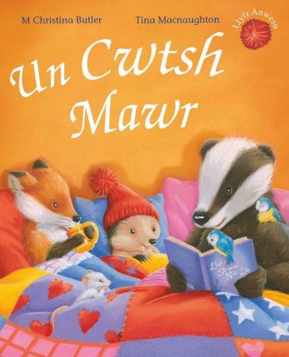 Cyfres Draenog Bach: Un Cwtsh Mawr (Paperback)